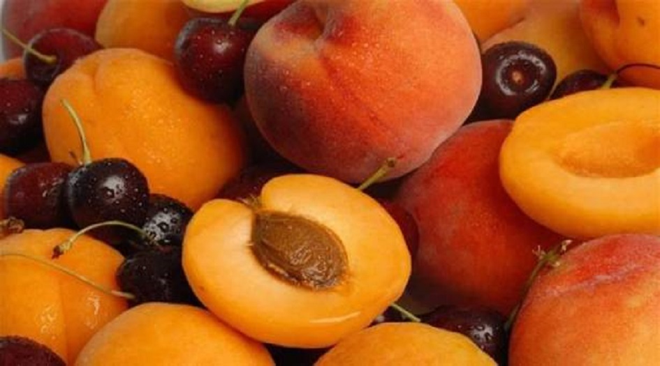 تناولوا هذه المأكولات في فصل الصيف واستفيدوا من فوائدها الكبيرة