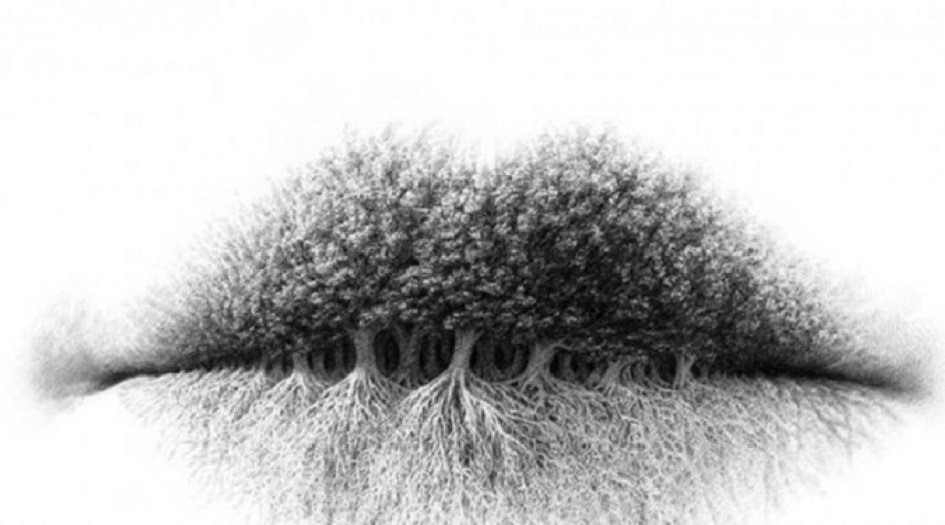 ما ترونه في هذه الصورة أولاً يكشف الكثير عن شخصيتكم!