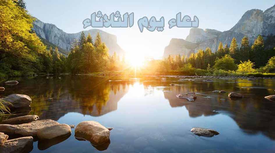 دعاء يوم الثلاثاء.. بالصوت الخاشع للشيخ ميثم التمار