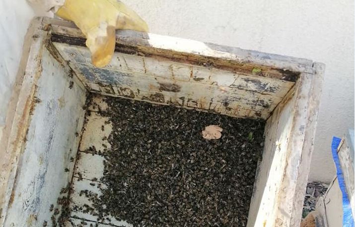 بعد الحرائق أهالي كركوك يستغيثون من السموم