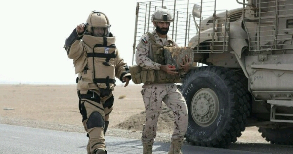 استخبارات فرنسية: الامارات لم تنسحب من اليمن 