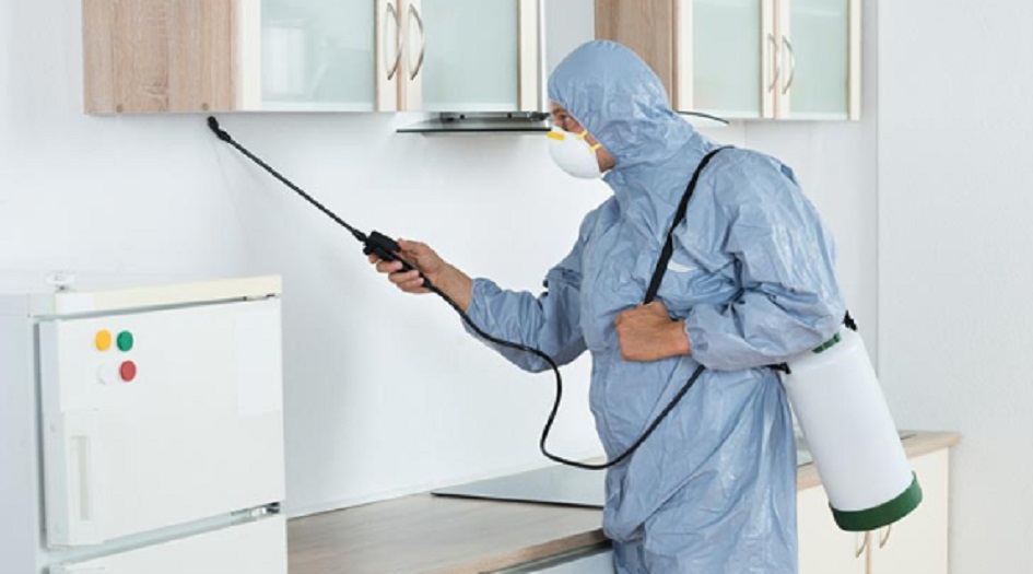 حشرة منزلية مقززة "مستحيل قتلها" حتى بالمبيدات الكيميائية!!