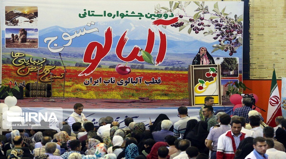مهرجان قطاف الكرز الحامض في تسوج (شمال غرب ايران)