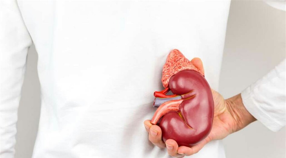 7 عادات ضارة تدمّر الكلى من دون علمك