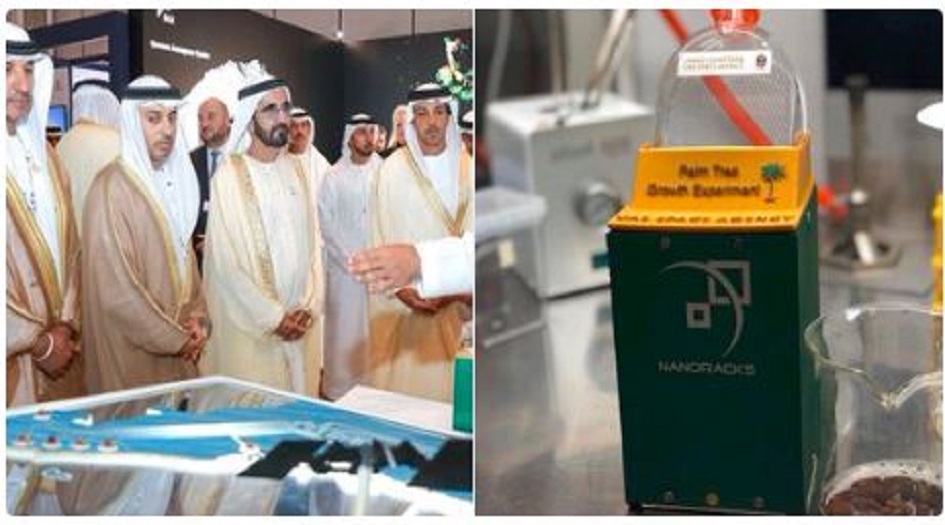 دولة عربية ترسل بذور النخيل الى الكوكب الاحمر