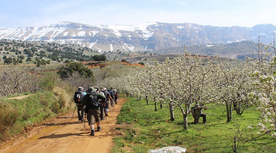 الجيش اللبناني يعثر على مقبرة جماعية في مرطبيا