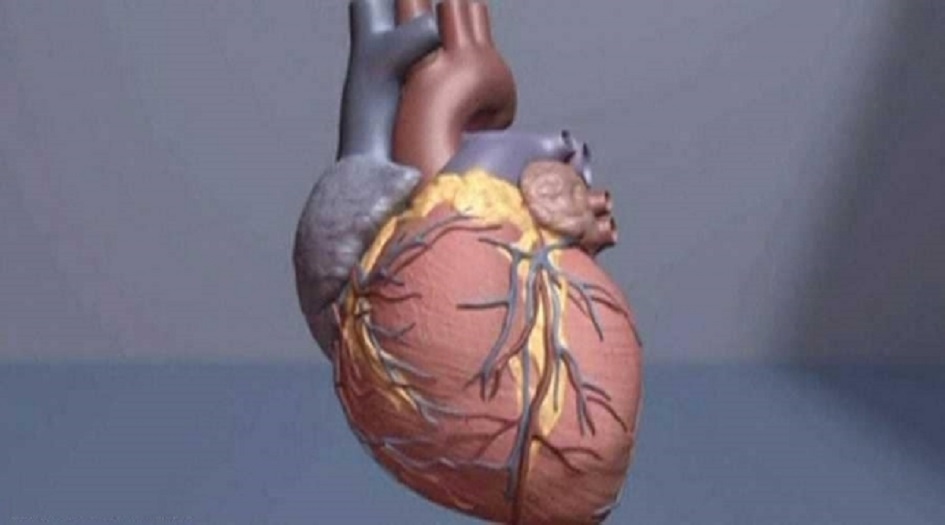أمراض القلب القاتلة.. سبب رئيسي وحل بسيط جدا