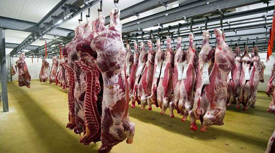 رئيس منظمة الحج الايرانية: لحوم اضاحي الحجاج الايرانيين ترسل الى دول فقيرة