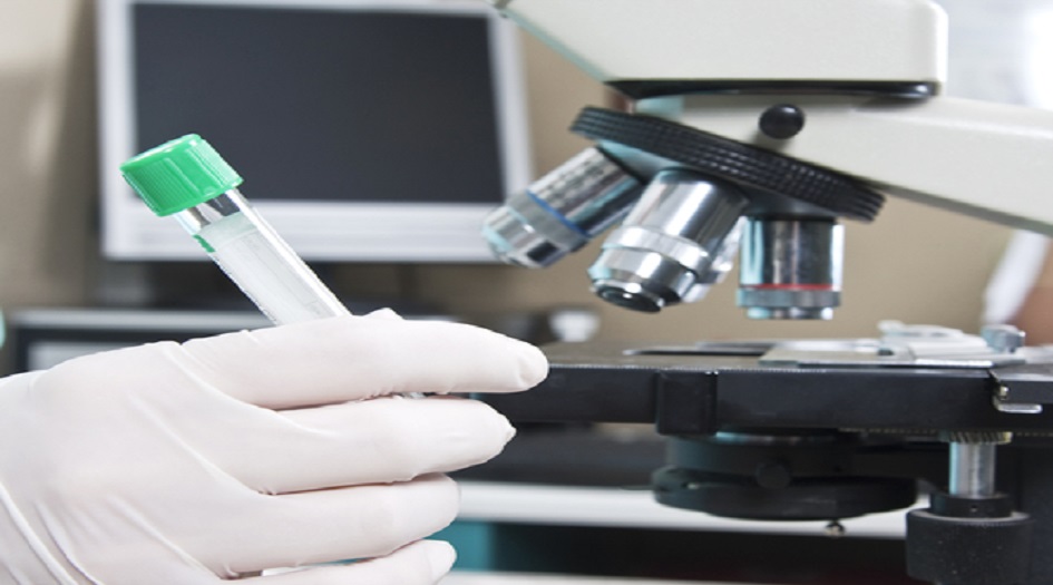 اكتشاف عضو جديد في الإنسان يفسر الألم