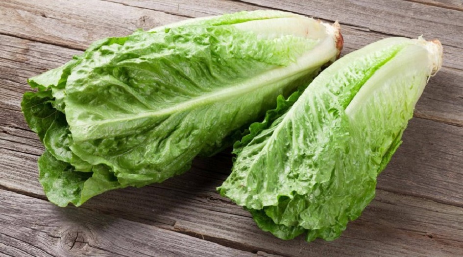 لإحتوائه هذه المواد تناولوا الخس بعد الـ40