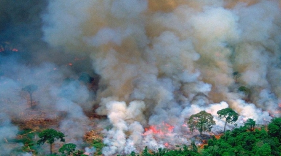 شاهد.. {رئة الأرض} تختنق بحرائق مستعرة