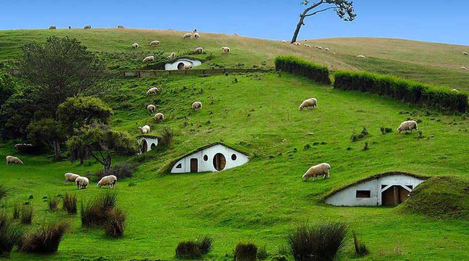 ما معنى الابّ في الآية الكريمة "وَفَاكِهَةً وَأَبّاً"