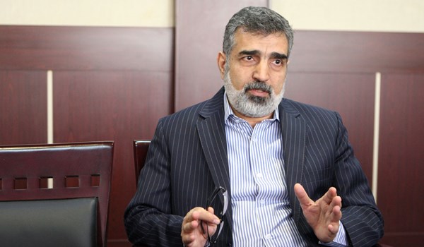 كمالوندي: انجازات ايران النووية خلال 6 سنوات كانت كبيرة