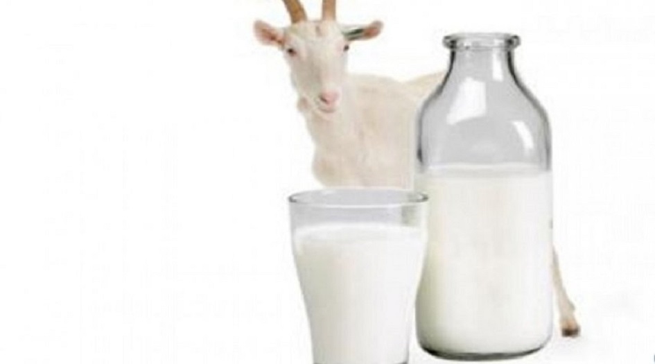 فوائد خفية لاتعرفونها للبن الماعز على البشرة