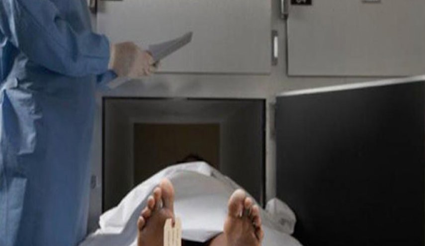 وفاة عالم نووي مصري في ظروف غامضة بالمغرب