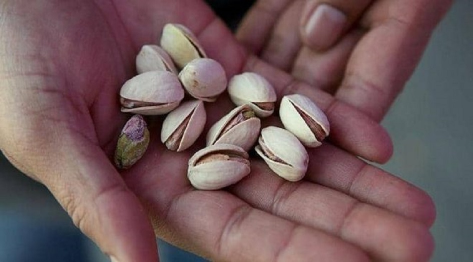 هل يضر “التحميص” بالقيمة الغذائية للمكسرات؟