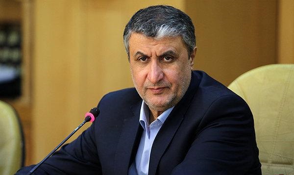 پیش بینی شرکت 3.5 میلیون زائر ایرانی در مراسم اربعین امسال