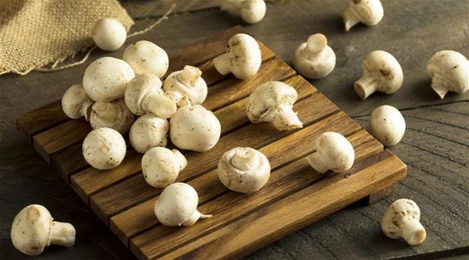 تناولوا الفطر لتفادي الاصابة بهذا المرض الخطير