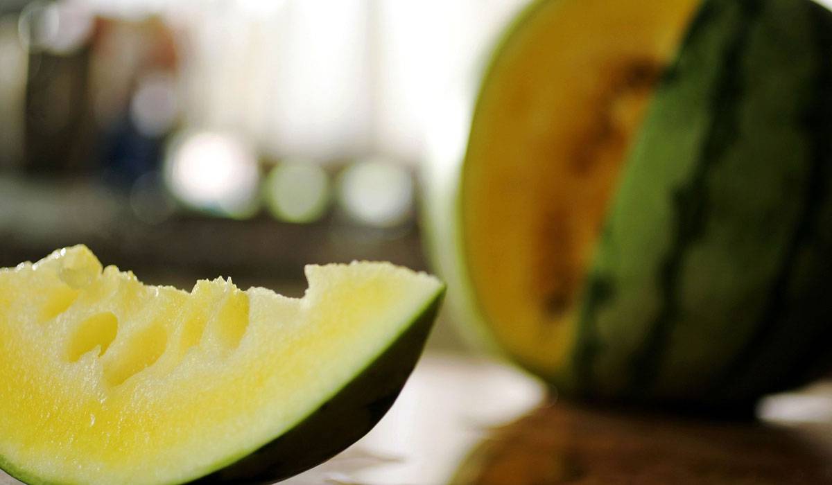 طعم لذيذ وفوائد عديدة في البطيخ الأصفر.. 