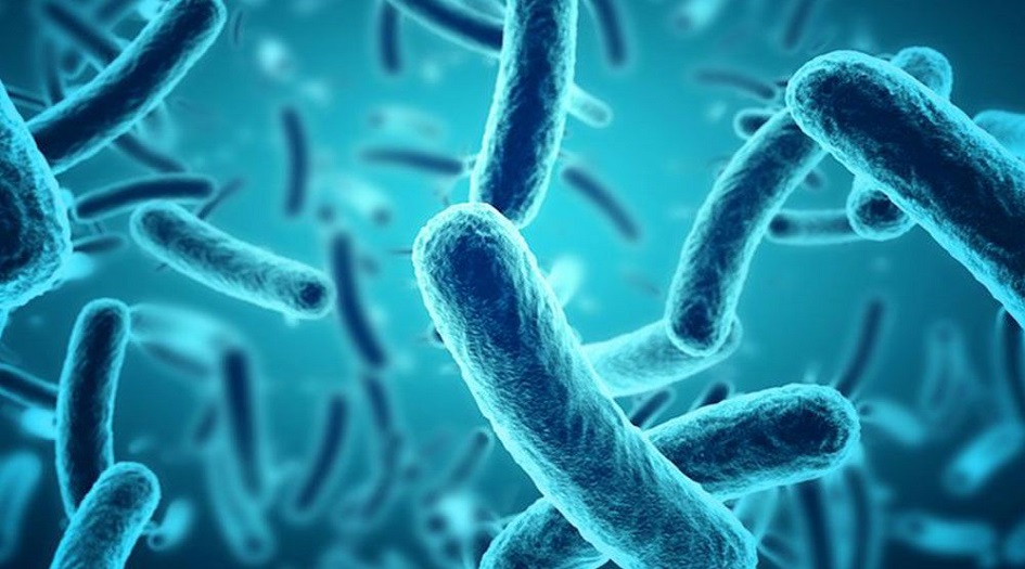 مرض جديد يثير فزع المصريين