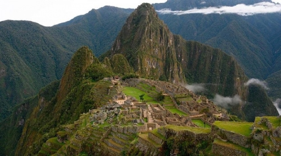 الطبيعة "تفاجئ" العلماء بشجرة اعتقدوا أنها اندثرت