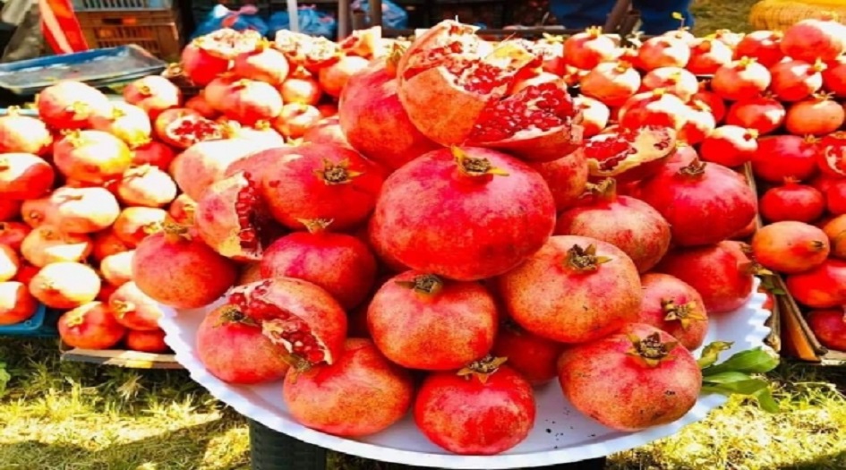 شاهد.. مدينة عراقية تتباهى بأجود أنواع الرمان