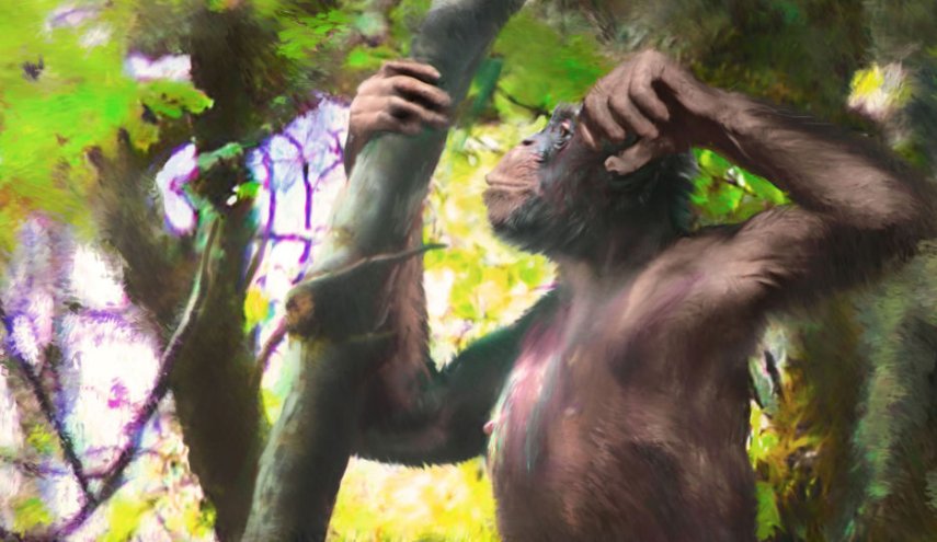 عظام قردة عاشت قبل 12 مليون عام..مشيها مستقيم كالبشر!