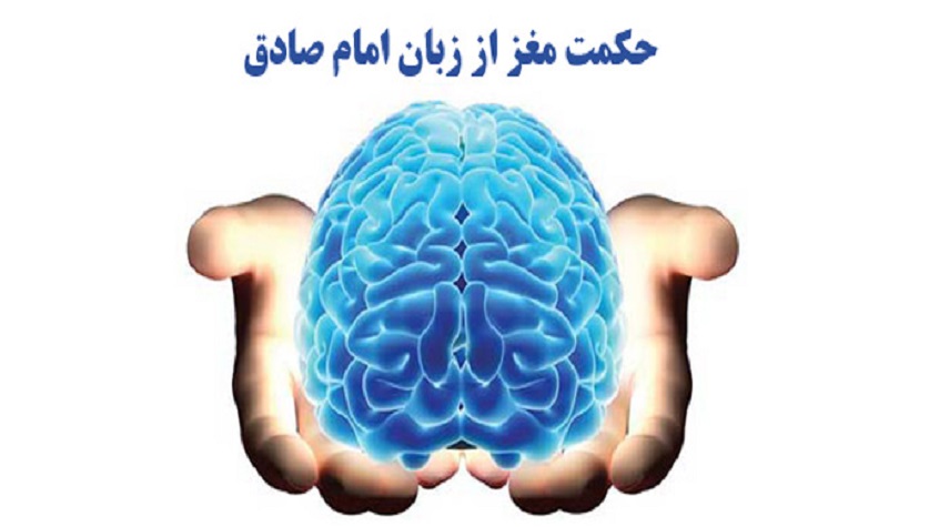 راز و حكمت لايه اي بودن مغز از زبان امام صادق عليه السلام
