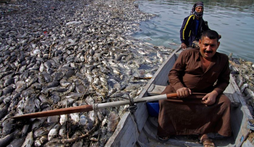 قاتل اسماك العراق 