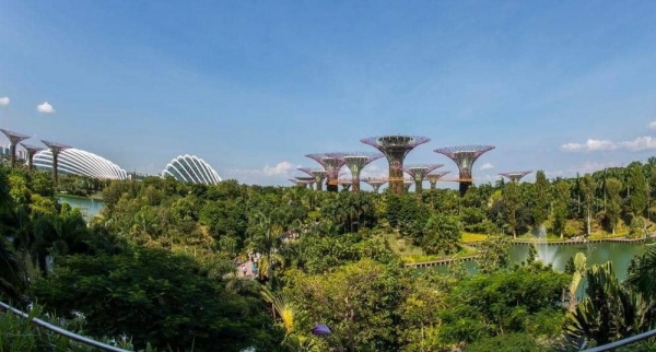 دراسة تكشف العلاقة بين طول العمر والسكن في "مدن خضراء"