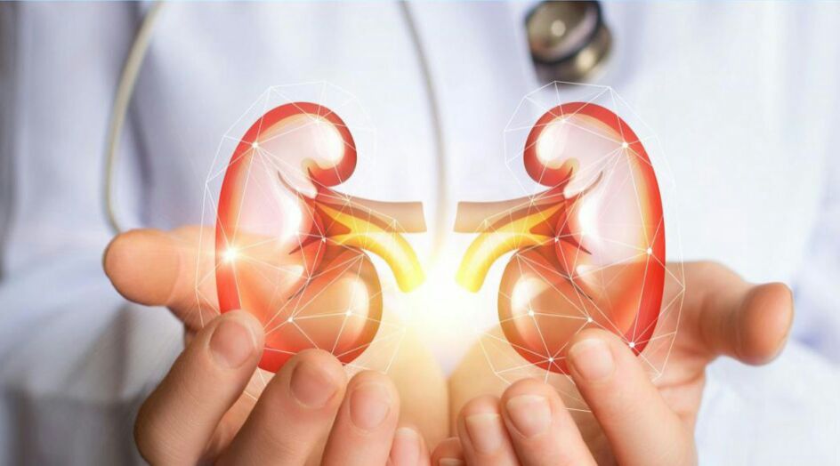 بينها البصل..تعرّفوا إلى الأطعمة التي تنظف الكلى!