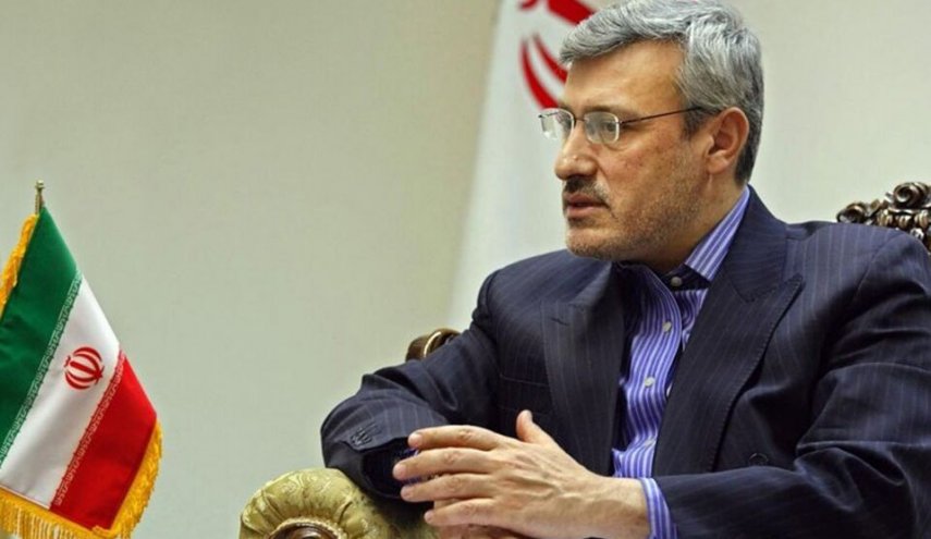 بعيدي نجاد: سياسة جانسون تعمل على خفض التوتر مع ايران