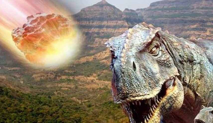 خطر يهدد العالم... أكبر موجة انقراض في التاريخ