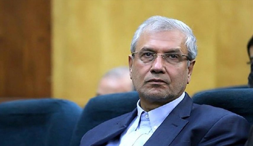 متحدث الحكومة: سليماني كان حاميا وسندا للمضطهدين