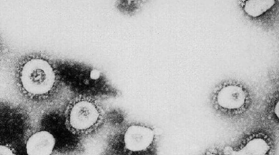 "الفيروس الغامض" يهز الصين بقوة.. وينتقل لمدن جديدة