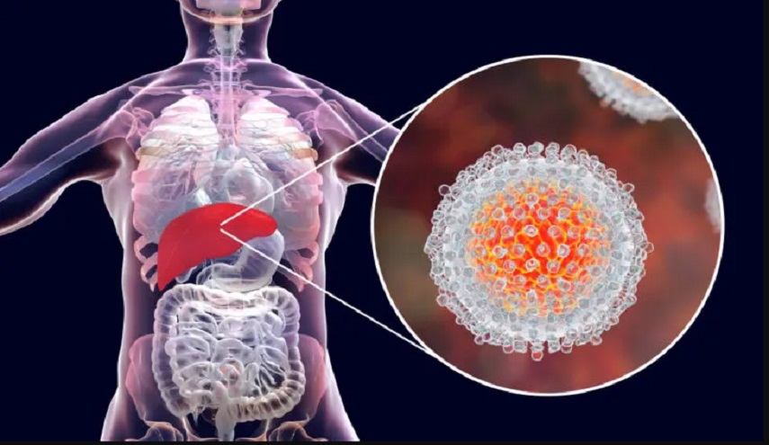 حقائق يجب أن تعرفها عن التهاب الكبد الوبائي أو الفيروسي “C” !