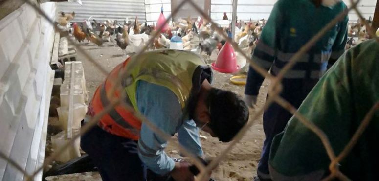 تسجيل أول إصابة في السعودية بفايروس معدٍ