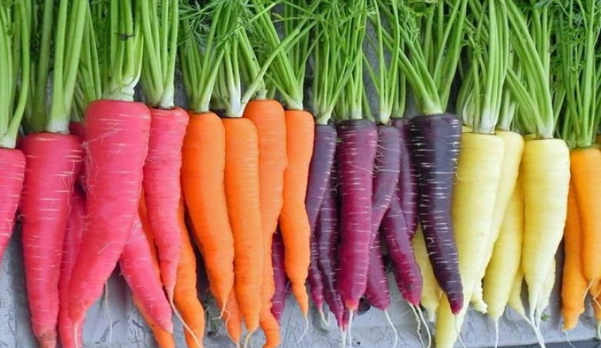 7 فوائد صحية مذهلة للجزر