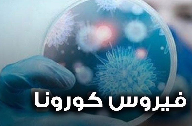 كورونا تصل الى مصر 
