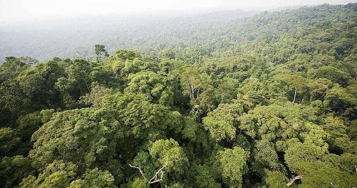 دراسة بيئية تحذر من كارثة خطيرة تهدد العالم