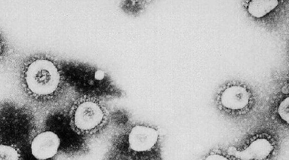 علماء يشككون في "نظرية ووهان": كورونا أقدم مما كنا نعتقد