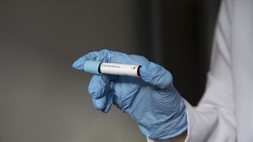 300 إصابة جديدة بفيروس كورونا في الإمارات