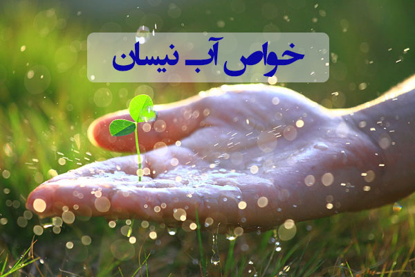 «آب نيسان» چيست و چه خواصي دارد + روش تهيه  
