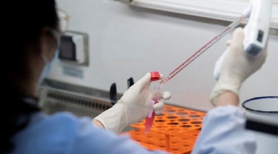 العلماء يكتشفون 3 سلالات من فيروس كورونا في العالم