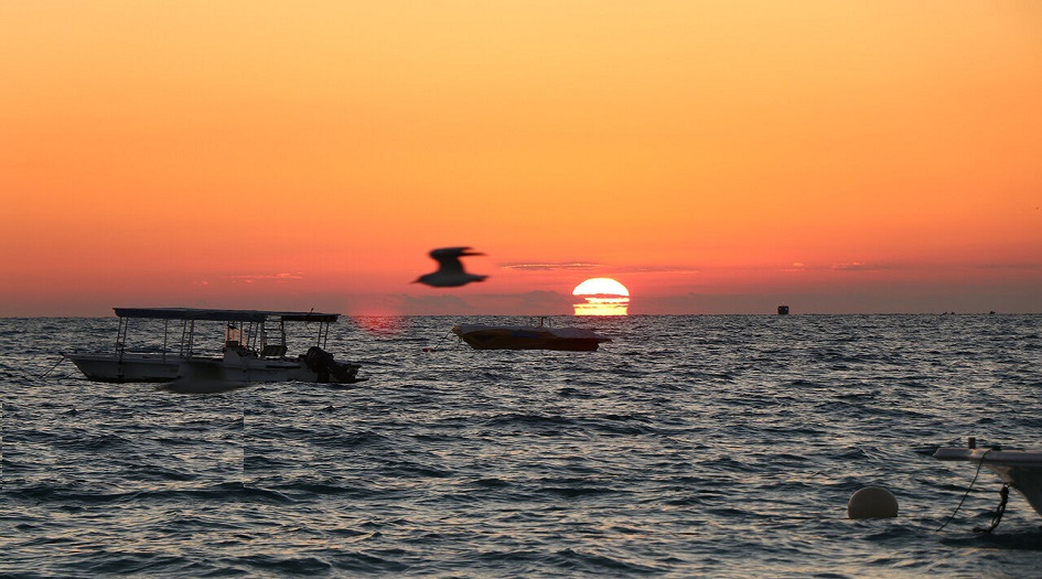 الخليج الفارسي.. مهد التنوع الثقافي والبيولوجي للعالم