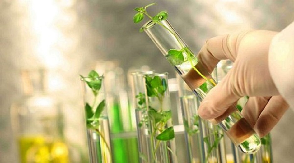 باحثون ايرانيون يقدمون مستخلصات عشبية فعالة لعلاج السكري