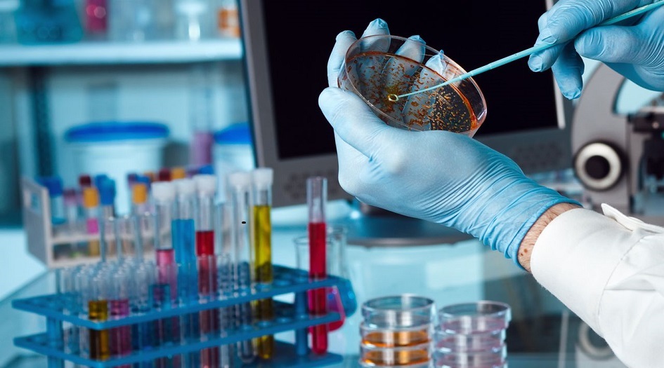 دراسات توضح العلاقة بين حبوب الضغط والسكري والإصابة بفيروس كورونا