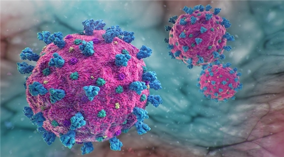 دراسة تكشف تحولات كورونا الوراثية وتاريخ انتشاره