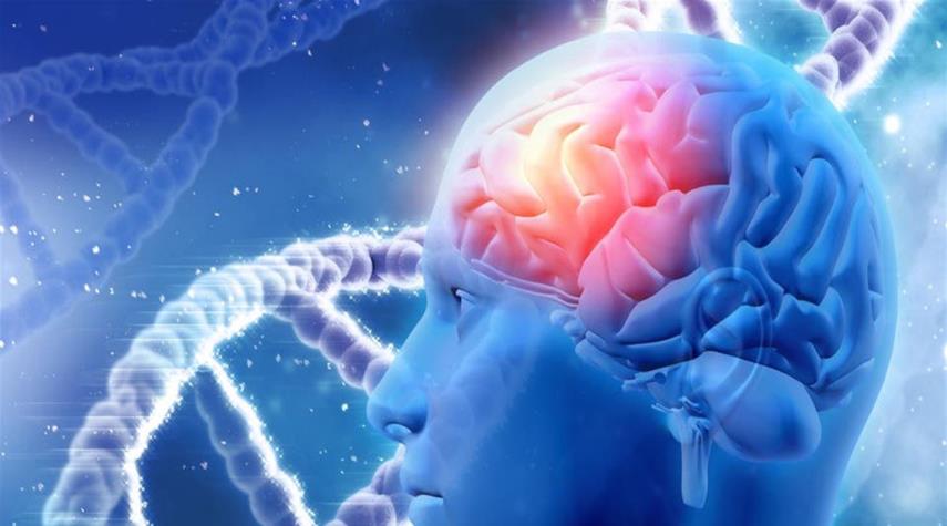 أطعمة تزيد من احتمال الإصابة بالخرف 