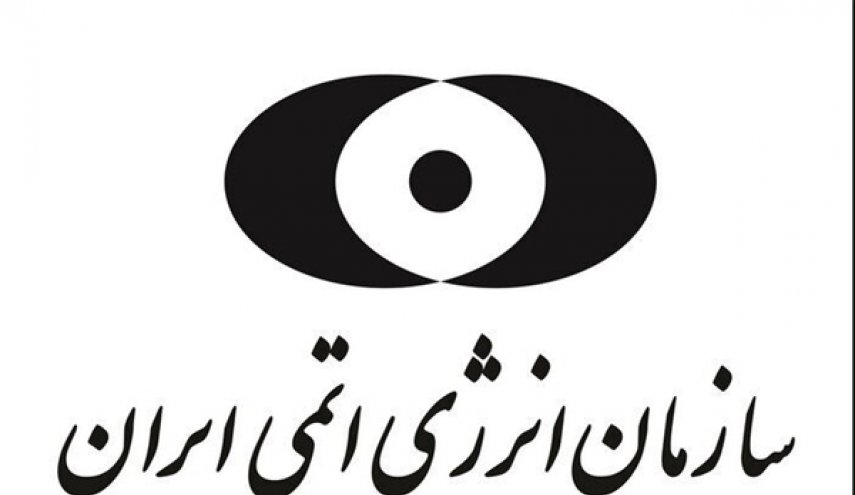 منظمة الطاقة الذرية تعزي باستشهاد عدد من كوادر القوة البحرية